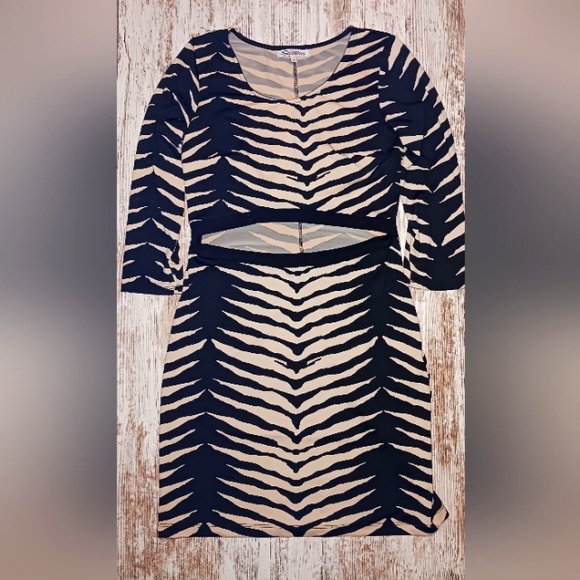 Chic Zebra Print Dress - Picture 1 of 3